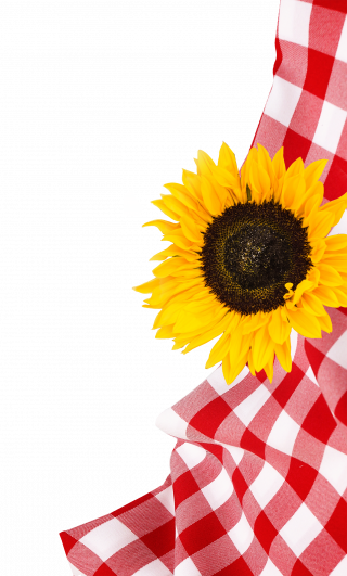 _wpframe_custom/gallery/files/wpf_sitemanager/t_sonnenblume02png_1568719467.png